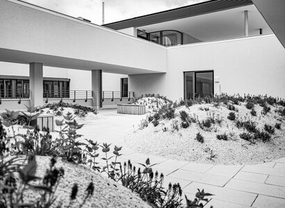 Dachbegrünung auf Dachterrasse in Kassel - Garten- und Landschaftsbau