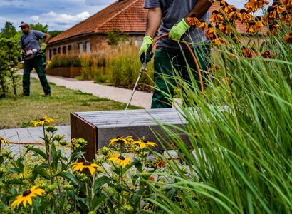 Gartengestaltung mit Gartenpflege in Marburg Biedenkopf