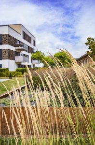 Alte Ziegelei_Marburg_Gartenbau_Galabau_Bau_Aussenbereich_Landschaftsbau_Dachbegruenung