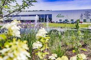 Gießen_Wasser_Wasserspiel_Galabau_Blumen_Pflanzen_Pflanzung