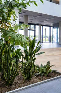 Innenraumbegrünung_Fraunhofer