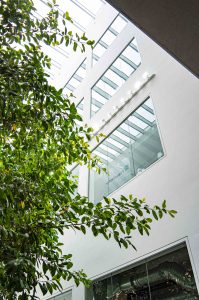 Innenraumbegrünung_Fraunhofer_Begrünung