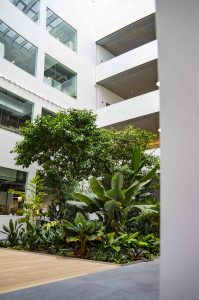 Innenraumbegrünung_Fraunhofer_Gebäudebegrünung