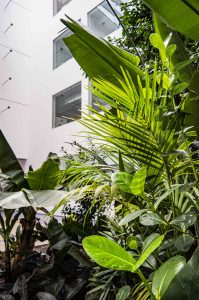 Innenraumbegrünung_Fraunhofer_Grünfläche