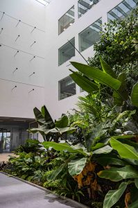 Innenraumbegrünung_Fraunhofer_Pflanzen