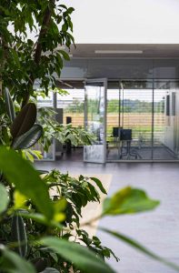 Innenraumbegrünung_Giessen_Grünfläche