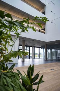 Innenraumbegrünung_Giessen_Pflanzen