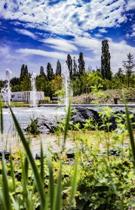 Pflanzen_Galabau_Wasser_Wasserspiel_Brunnen_Gewerbe