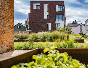 Wohnanlage_Marburg_Alte Ziegelei_Pflanzung_Dachbegruenung