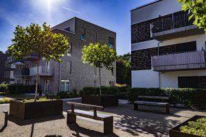 Aussenbereich_Wohnbau_Dachbegruenung_Balzer_Gartenbau_1