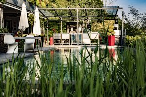 Livingpool_Pflanzung_BUchenau