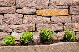 Naturstein_Gartenbau_Galabau_Pflanzen_Buchenau