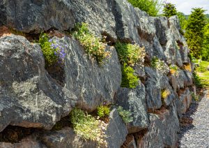 Naturstein_Stein_Privatgarten