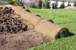 Privatgarten_Rollrasen_Galabau