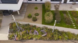 Stauden_Staudenmmisch_Pflanzung