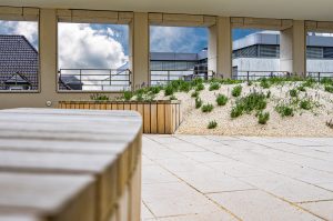 Holzbank_Duehnen_Dachbegruenung_Stahlbau_Kassel