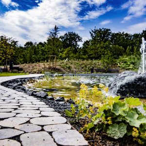 Pflaster_Garten_Gewerbe_Wasser_Wasserspiel